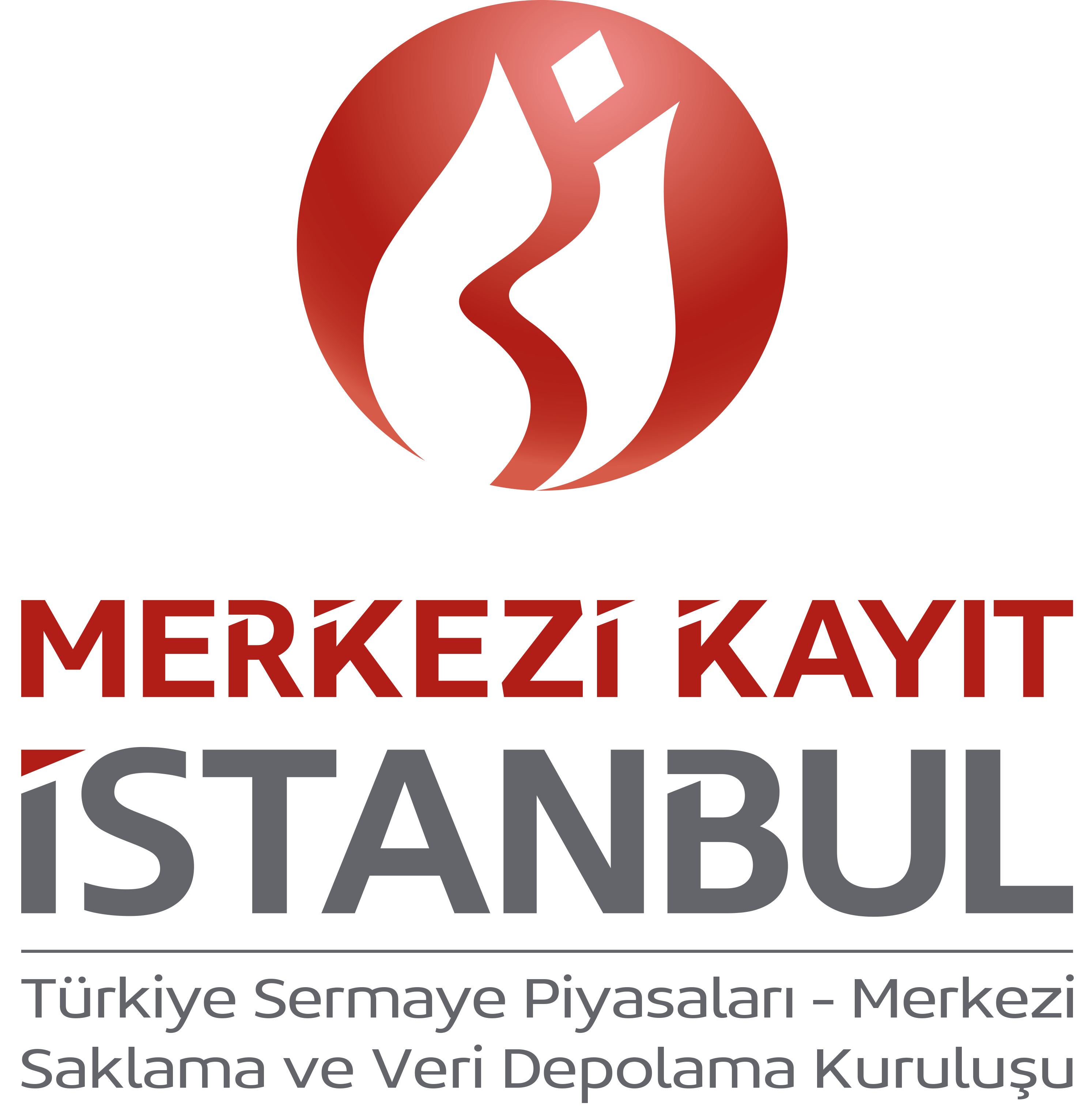 Merkezi Kayıt Kuruluşu Logo