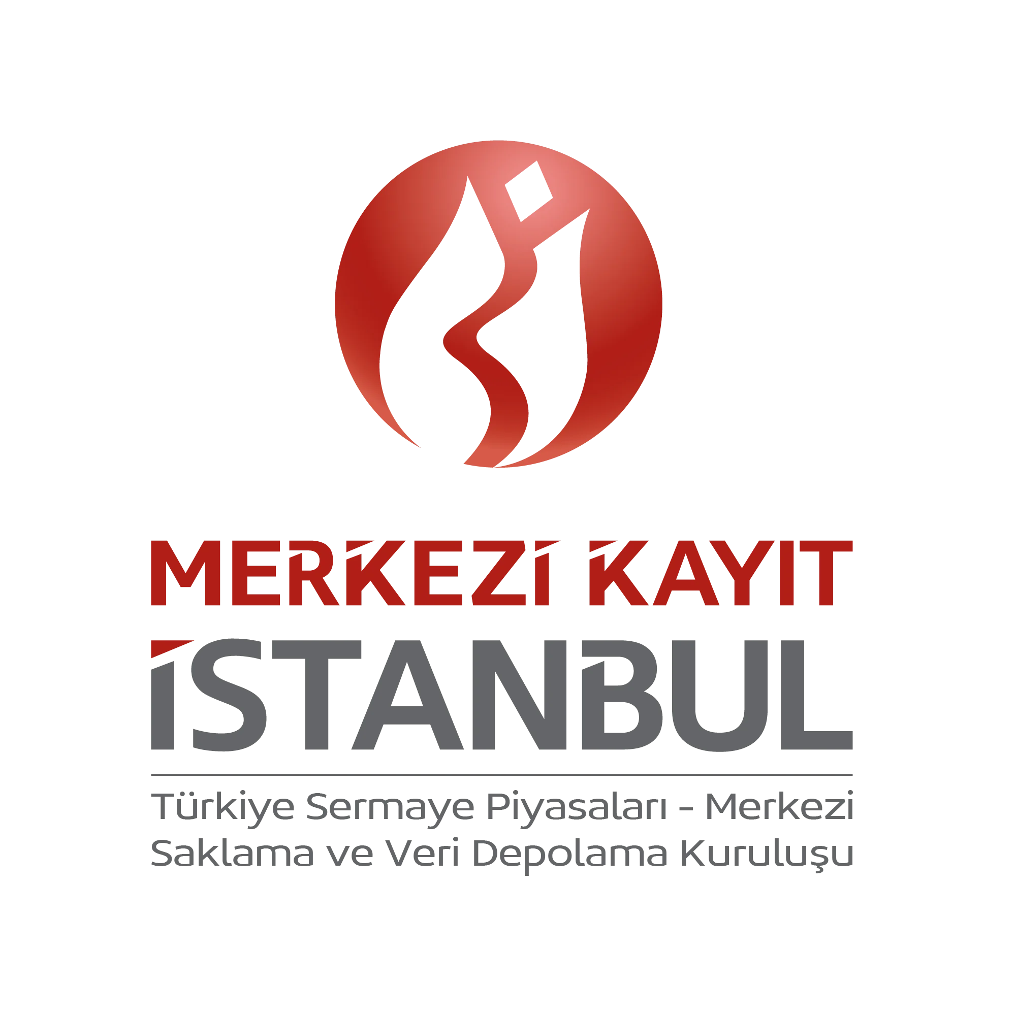 merkezi-kayit-kurulusu