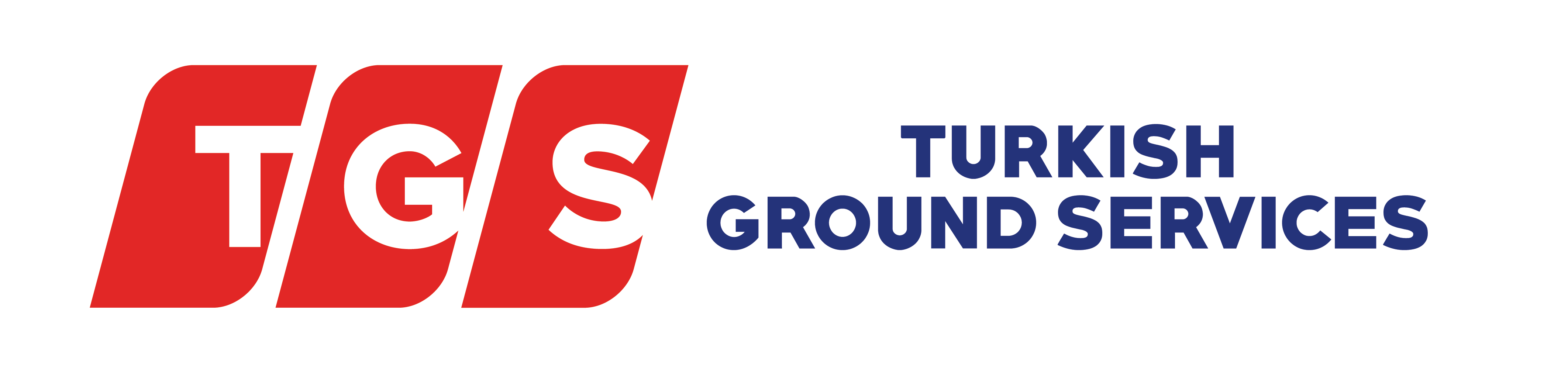 TGS (Turkish Ground Services) Logo